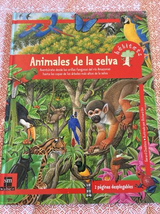 Animales de los océanos, selva, polos y desiertos