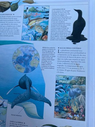 Animales de los océanos, selva, polos y desiertos