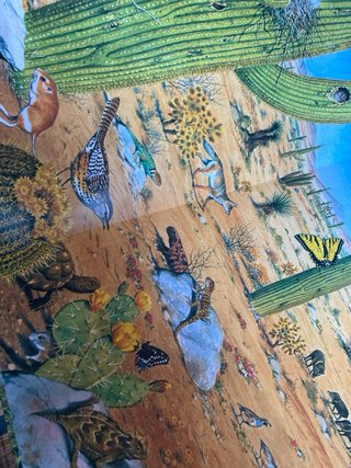 Animales de los océanos, selva, polos y desiertos