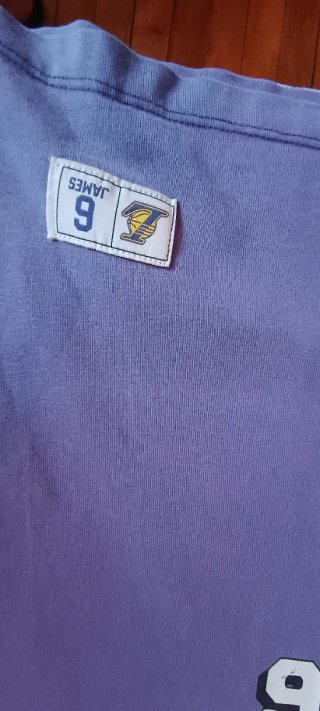 Camiseta Los Angeles Lakers James 6