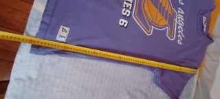 Camiseta Los Angeles Lakers James 6