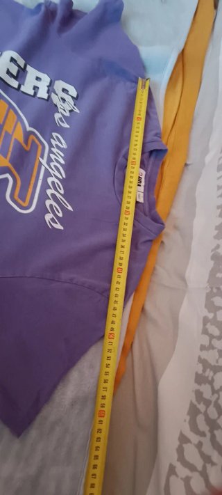 Camiseta Los Angeles Lakers James 6