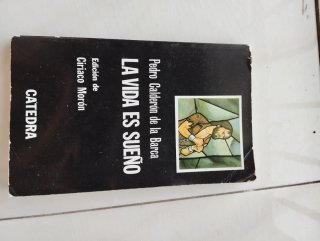 La vida es sueño