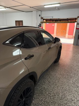 Lexus NX 350h Overtrail 8000 KM