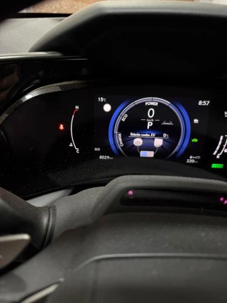 Lexus NX 350h Overtrail 8000 KM