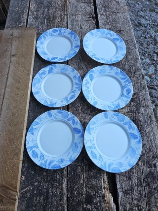 Lote de 6 platos llanos con estampado floral