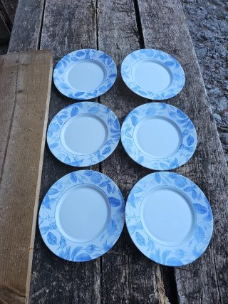 Lote de 6 platos llanos con estampado floral