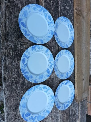 Lote de 6 platos llanos con estampado floral