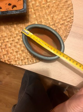 Maceta para Bonsái Ovalada