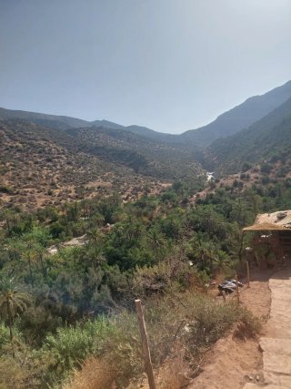 Terreno rustico