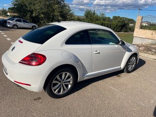 Volkswagen Beetle 1.6 TDI 105 CV | 1