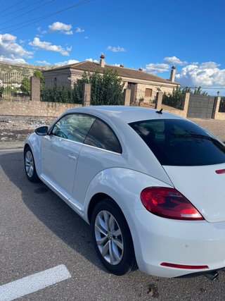 Volkswagen Beetle 1.6 TDI 105 CV | 1