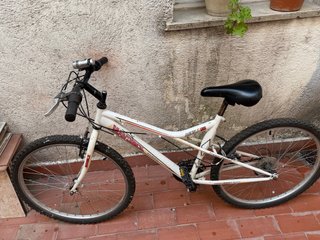 Bicicleta Aguila