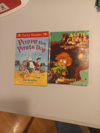 10 Libros en inglés por 15 euros el lote