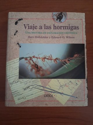 Viaje a las hormigas