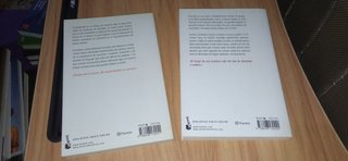 Veronika decide morir + El alquimista - P. Coelho