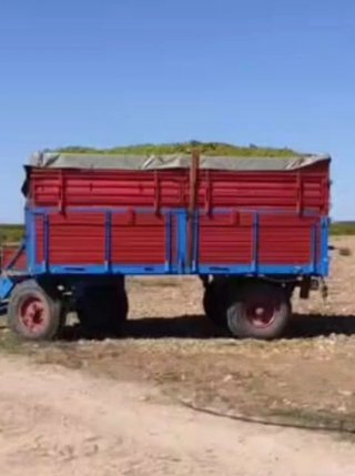 Remolque agrícola