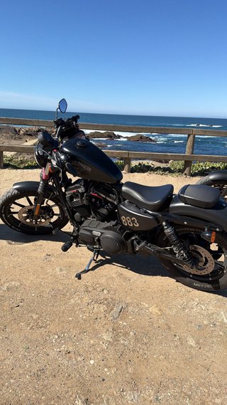 Harley Davidson XL Iron 883