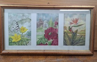 Quadretto con 3 stampe botaniche