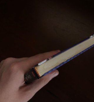 Libro Trampa para turistas