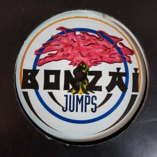 1996 TECHNO BONZAI JUMPS The ghettoraiders. vinilo
