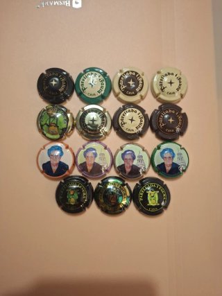 Lote de 15 chapas de cava Parellada i Faura