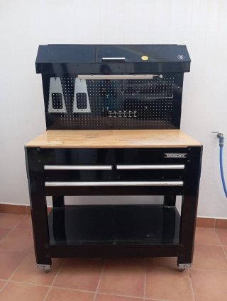 Banco de trabajo Wisent con panel perforado