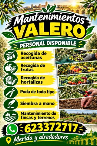 Servicios  agrícolas