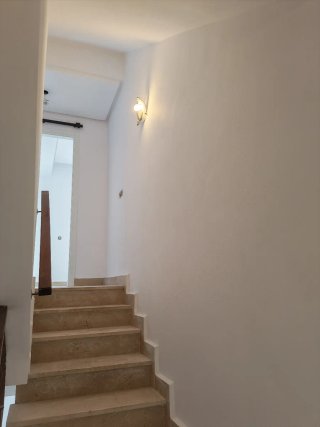 Pintor profesional económico
