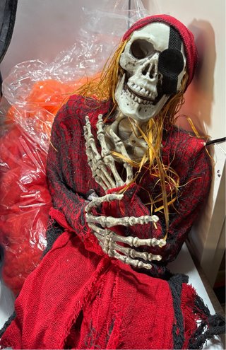 Lote Halloween con maleta vintage