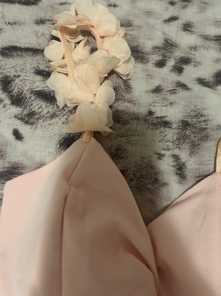 Mono rosa palazzo