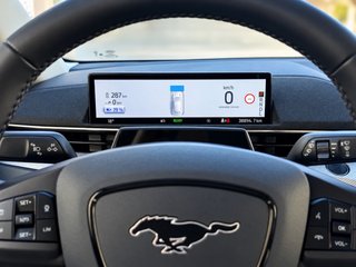 🚘 Ford Mustang Mach-E RWD | 2024 | 39.000 km |