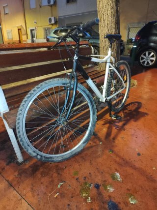Bicicleta