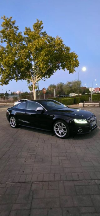 Audi A5 2009