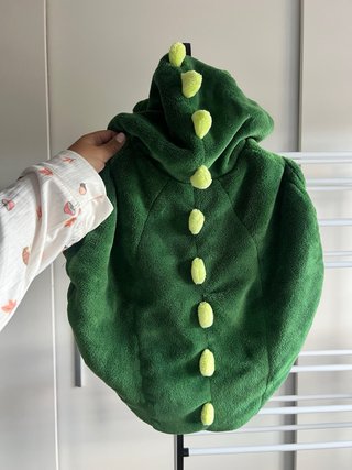 Disfraz de Dinosaurio Verde