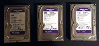 3 Discos Duros WD Purple 1TB 3,5