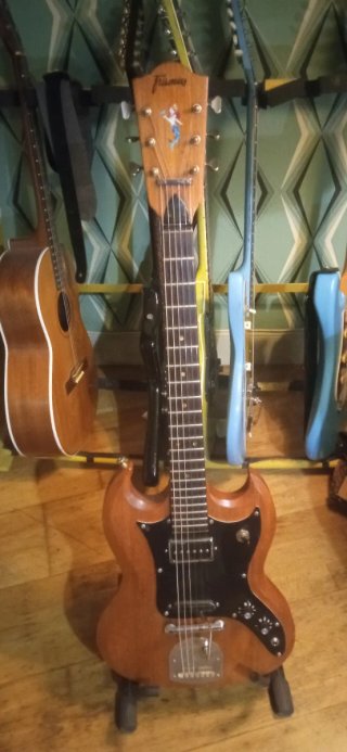 Guitarra Eléctrica