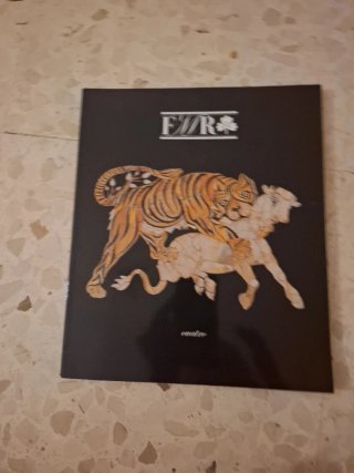 Revista fmr