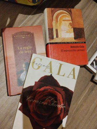 Novela