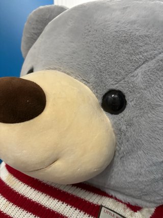 Oso Peluche Gigante Gris