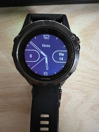Reloj Garmin Fenix 5 Negro/Plata