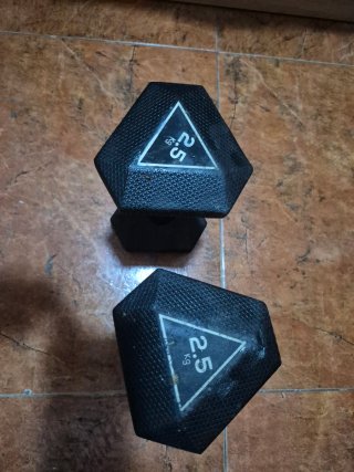 Set de 2 Mancuernas de 2,5 kg