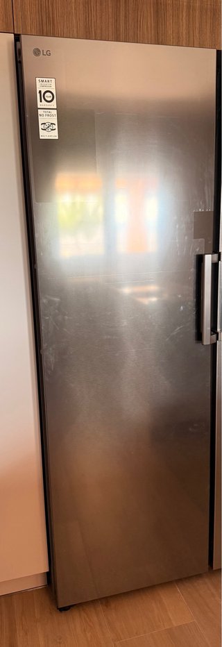 Congelatore Verticale LG GFT41PZGSZ