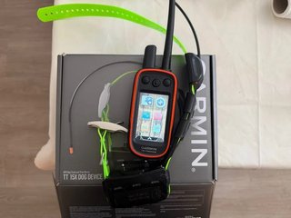 Garmin Alpha 100 con collar TT15X