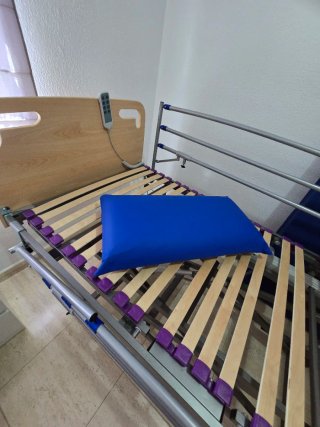 Cama Geriátrica Articulada con Carro Elevador.