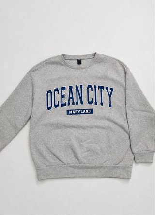 Sudadera Ocean City Maryland Gris