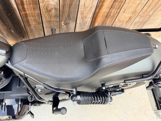 Indian Chief Dark Horse