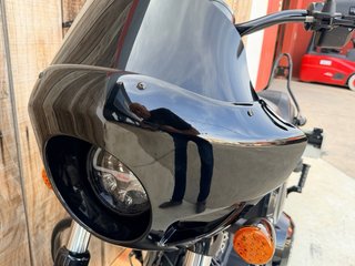 Indian Chief Dark Horse