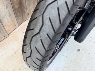 Indian Chief Dark Horse