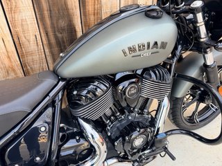 Indian Chief Dark Horse